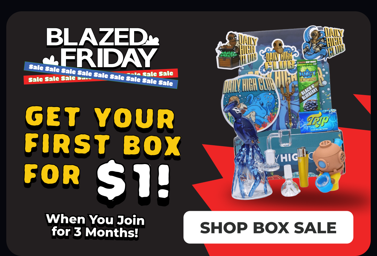 Shop box sale 