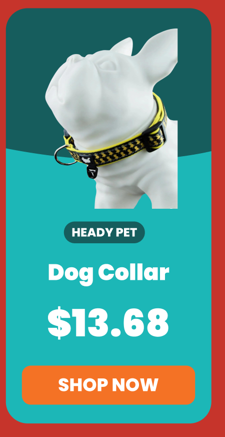 Dog Collar