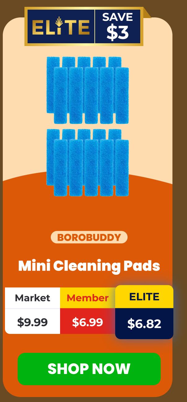 10-Pack SnowTree BoroBuddy Mini Cleaning Pads 