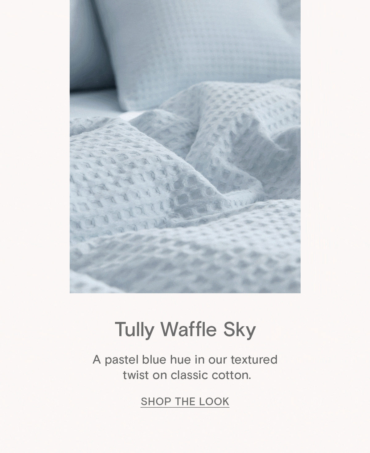 The best, according to you 💗 Sheet Society