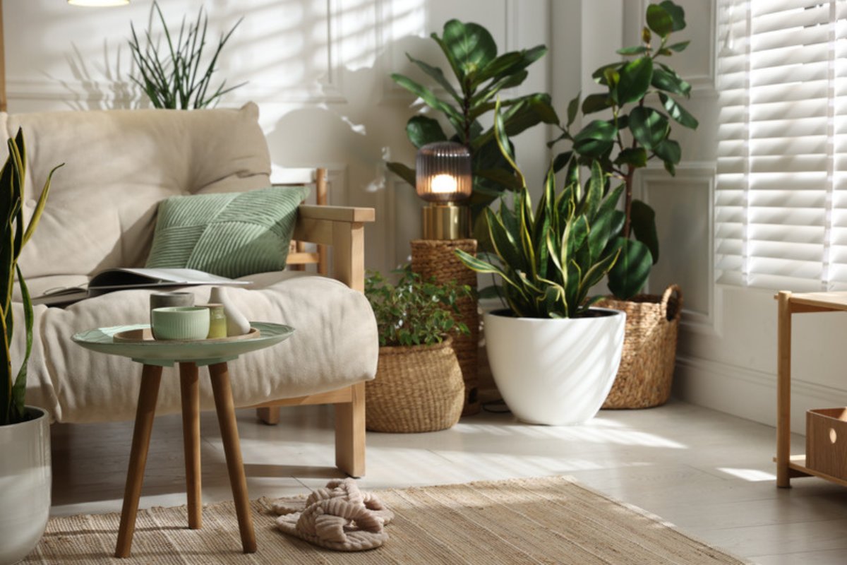 Hands carefully repotting a green tropical houseplant into a fresh terracotta pot with new soil