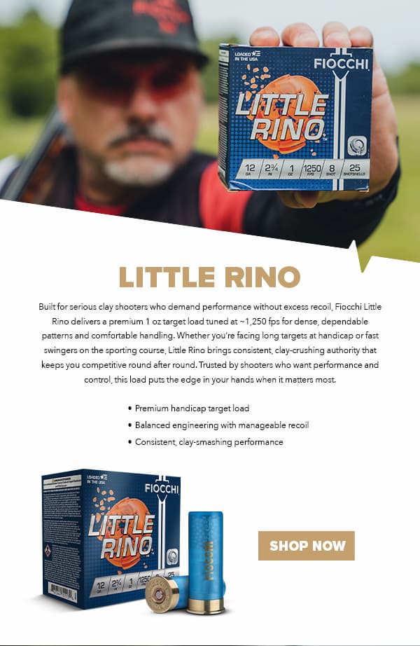 Little Rino