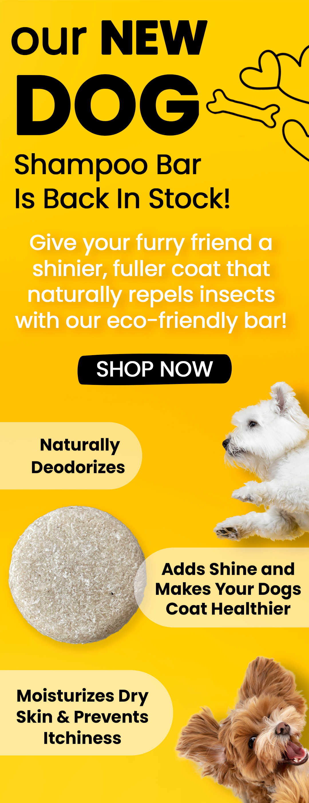 🐶 Dog Shampoo Bar Is BACK! Vunella