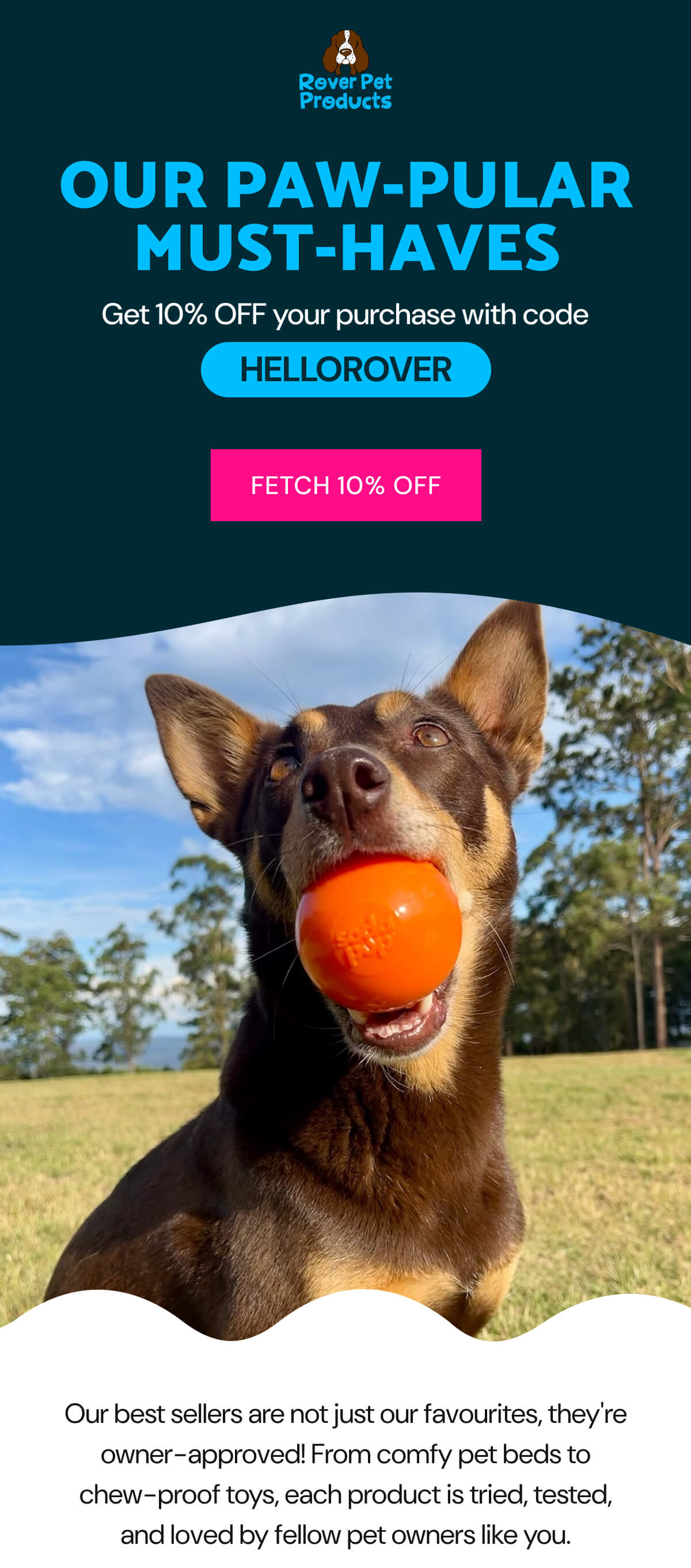 10% off at Rover Pet Products