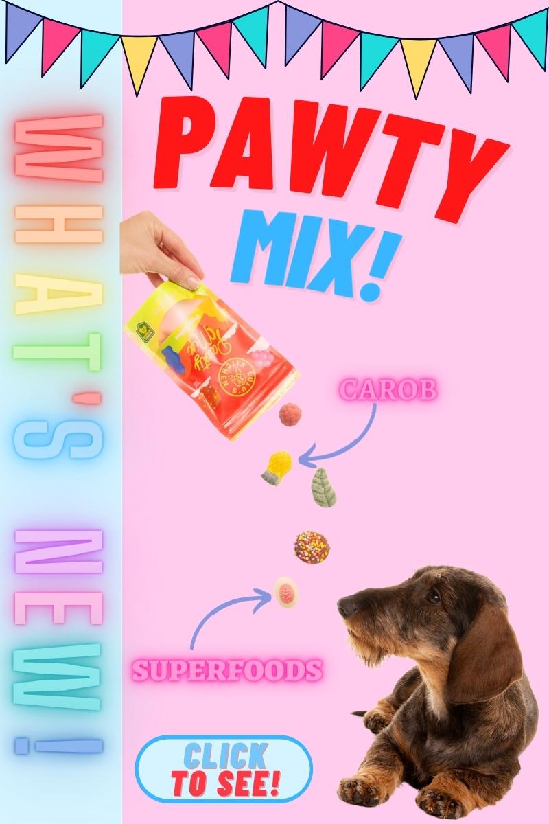 IT'S PAWTY TIME AT ROVER! Rover Pet Products