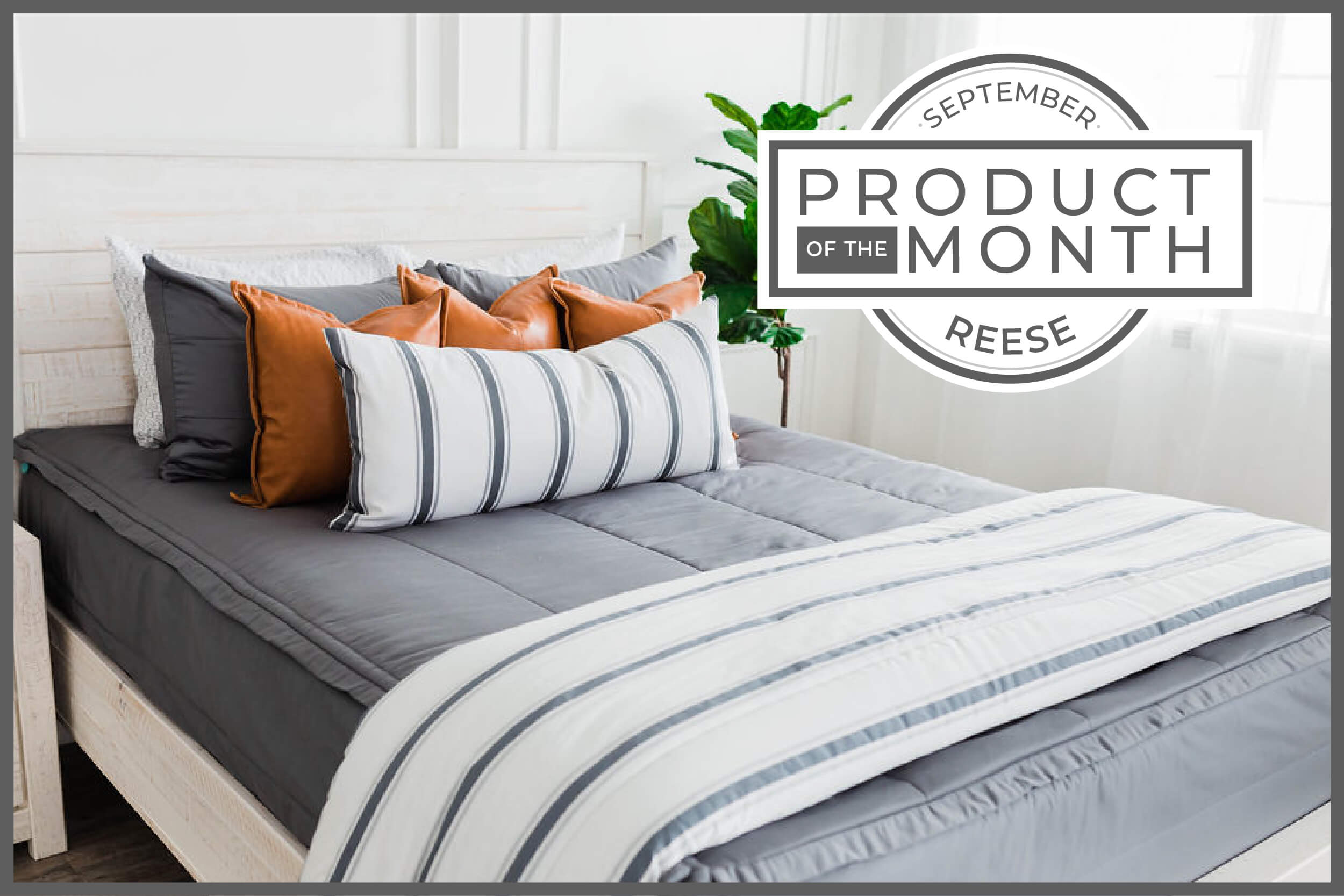 Our BEST SELLER is Product of the Month?! 😮 Beddy's Beddys