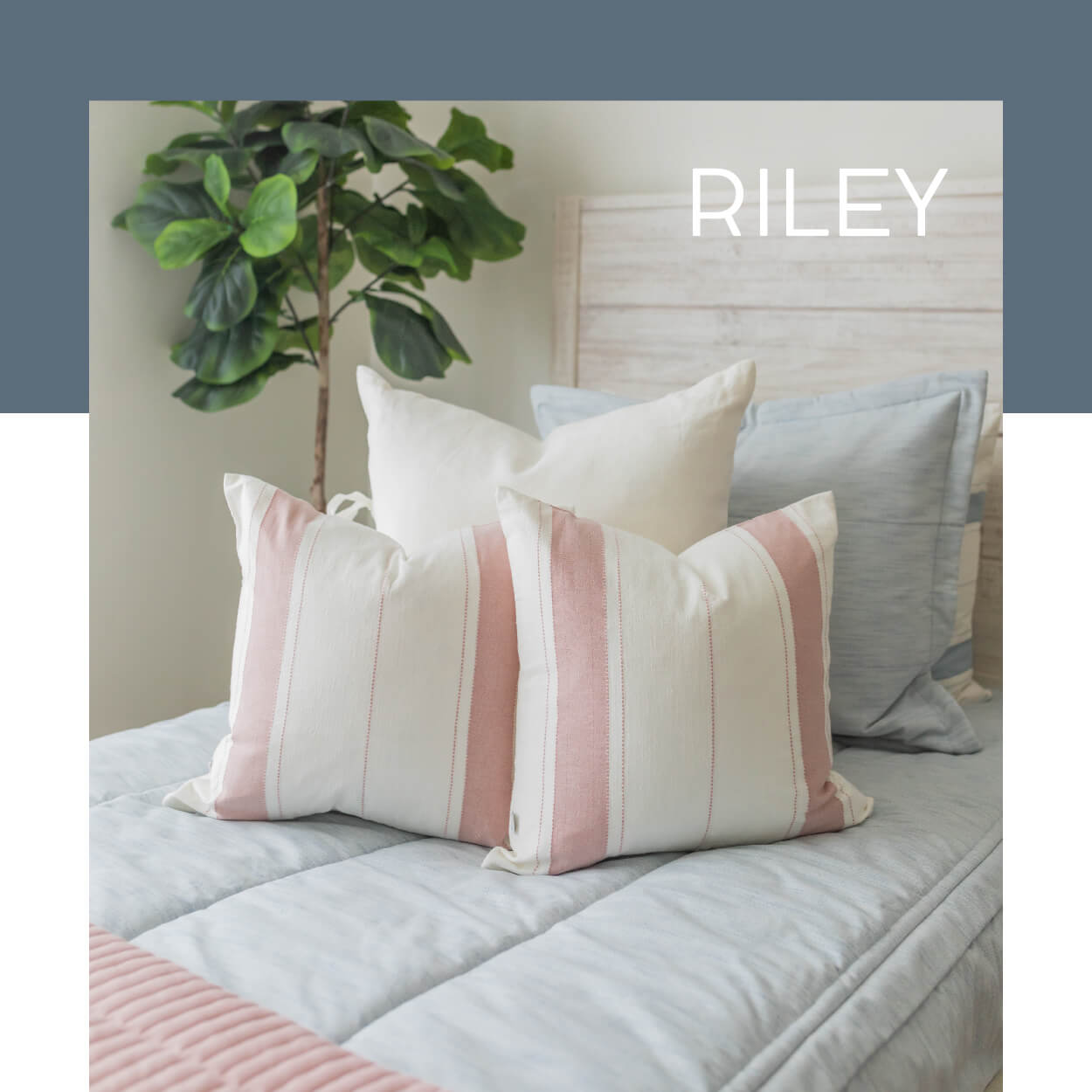 Sneak 🙈 Peek Beddy's Beddys