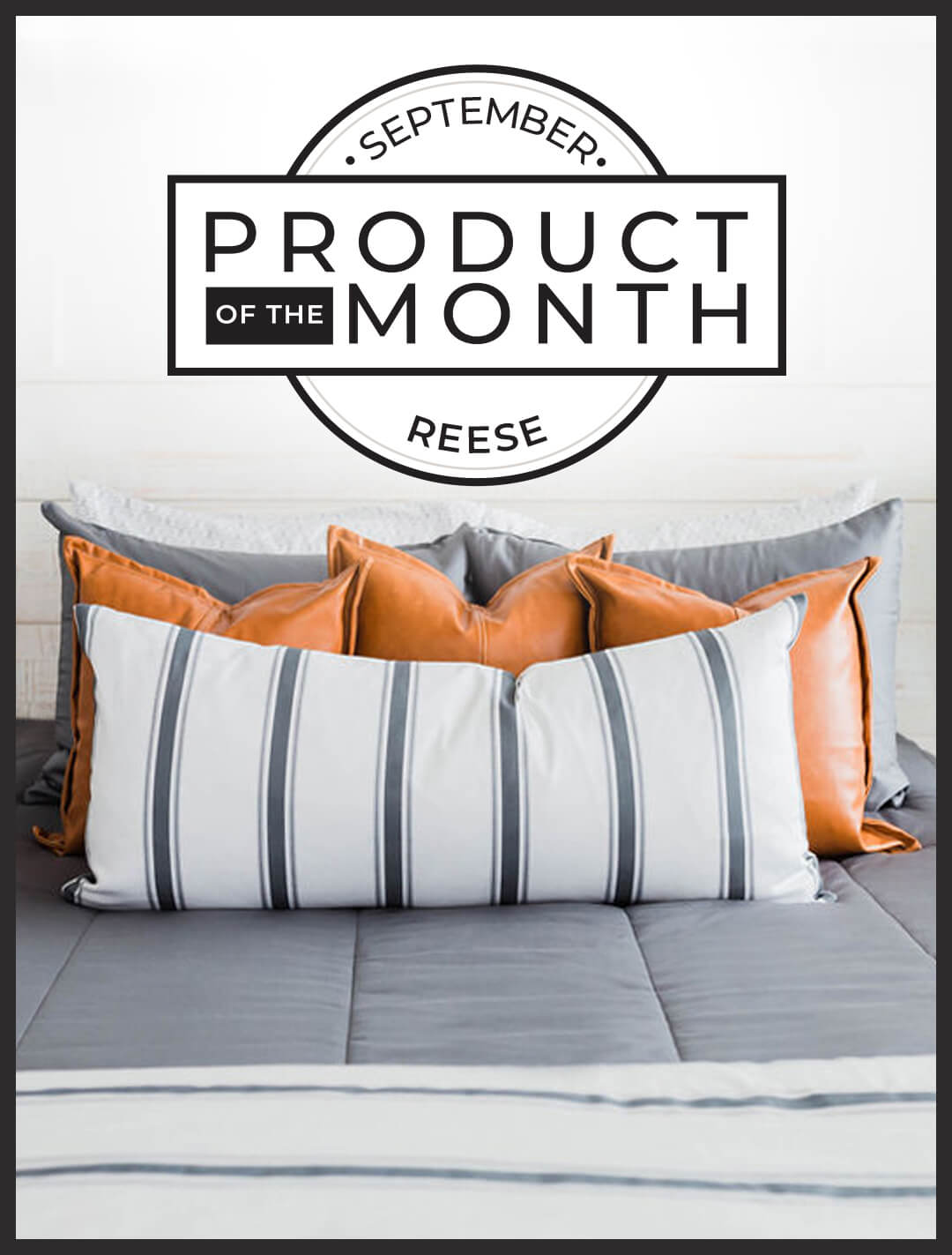 Our New Product of the Month... 🎉 Beddy's Beddys