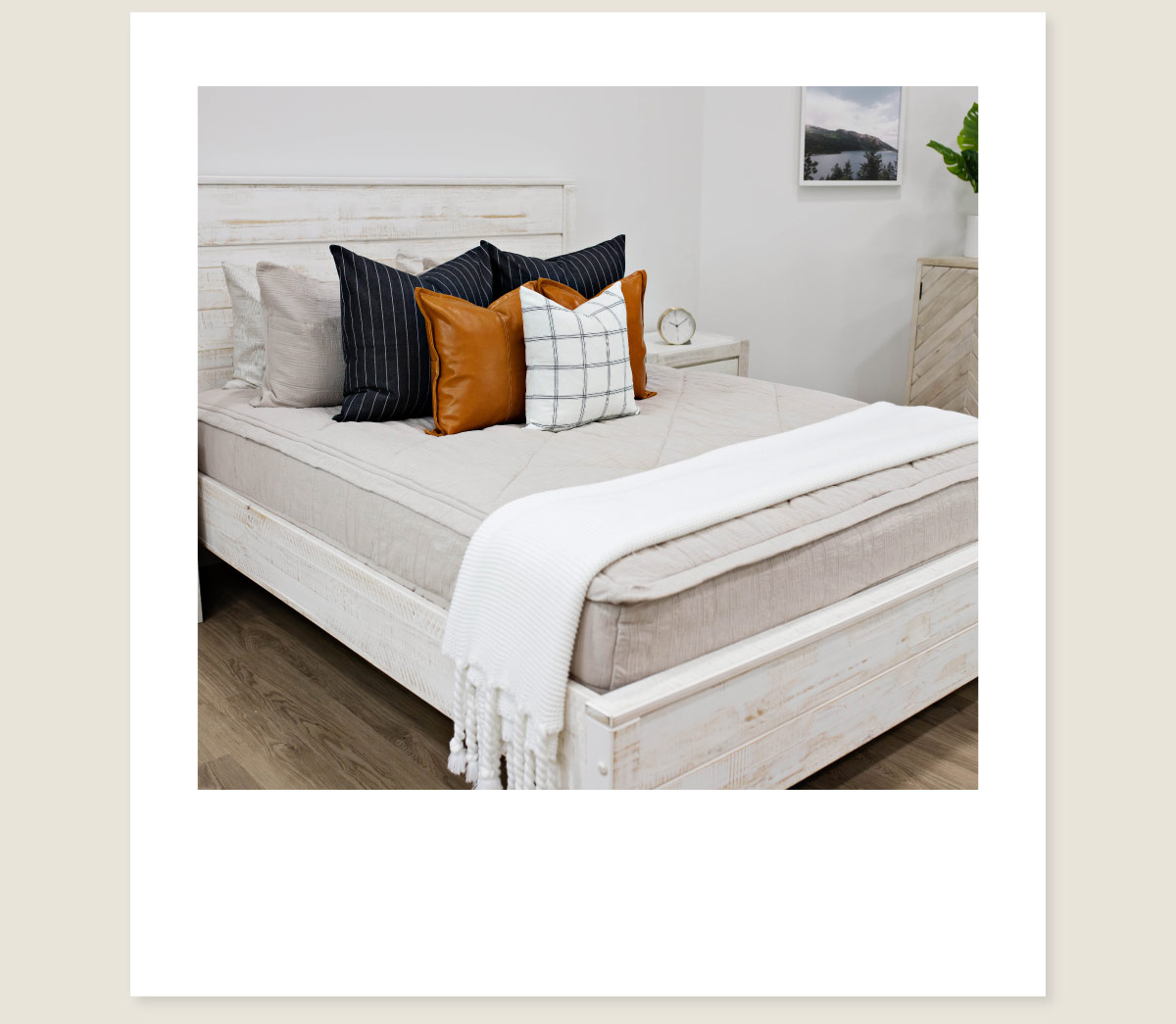 Cozy Club Only Save over 30 on Beddy's Beddys