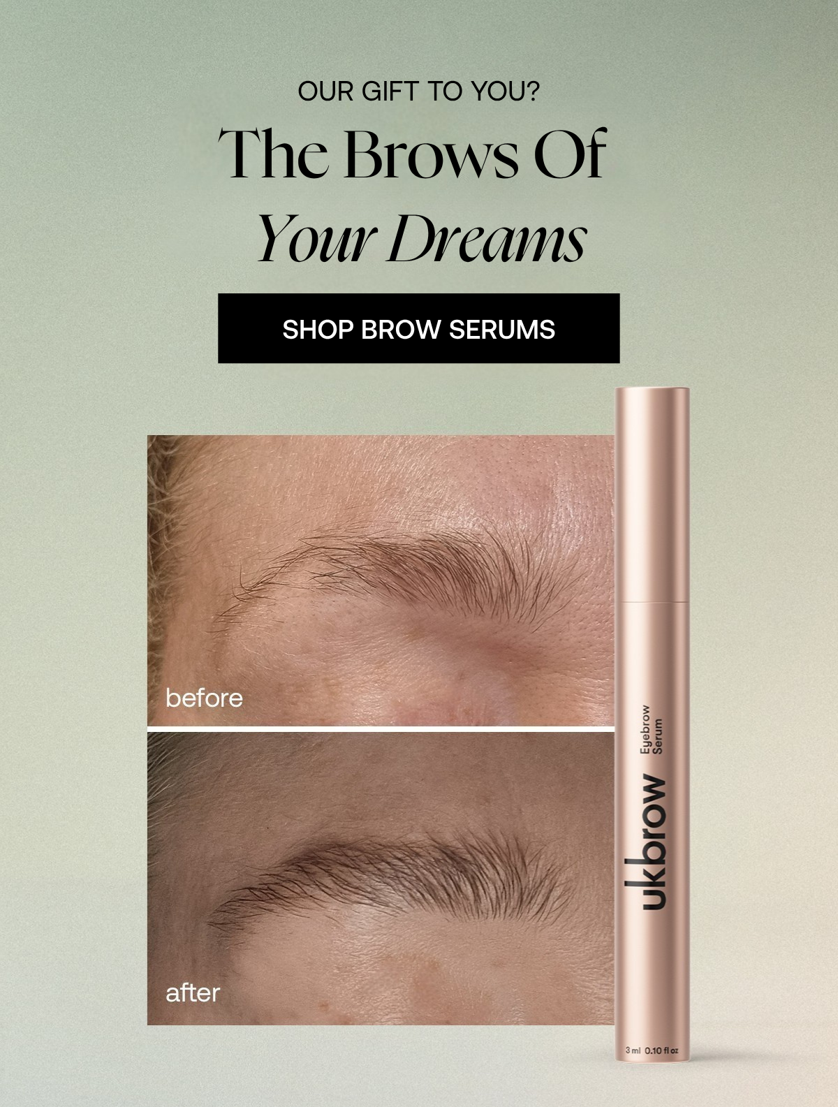 Our Gift to You? The Brows of Your Dreams