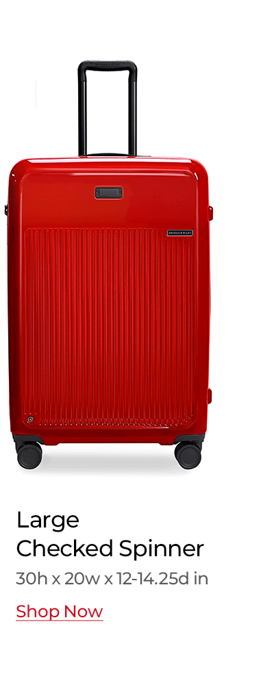 Shop the Sympatico Large Expandable Spinner in Glossy Ruby