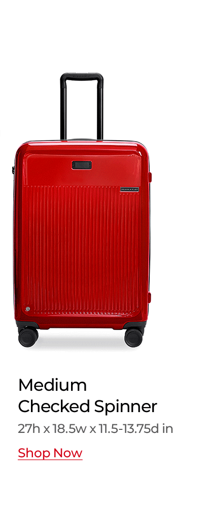 Shop the Sympatico Medium Expandable Spinner in Glossy Ruby