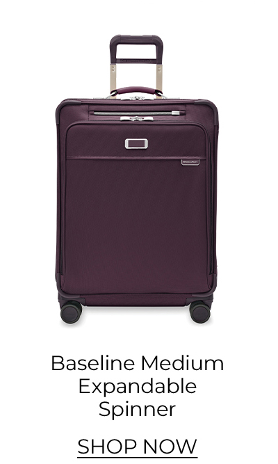 Shop the Baseline Medium Expandable Spinner in Plum