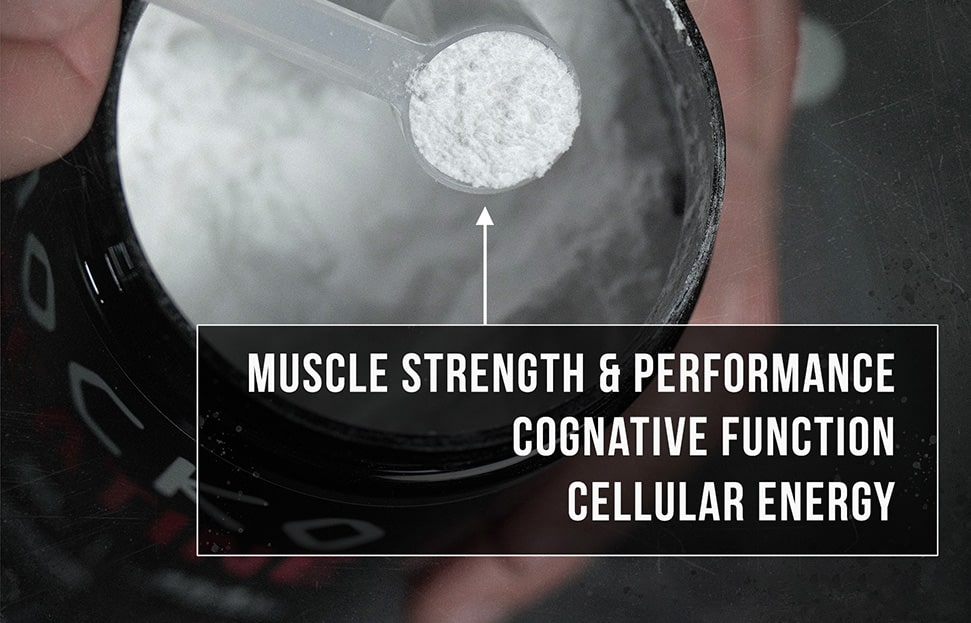 It’s back Jocko Creatine ORIGIN Maine