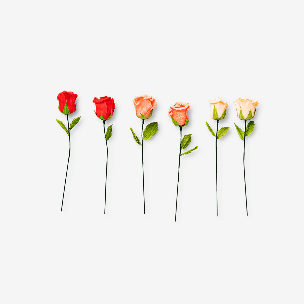 DIY paper flowers