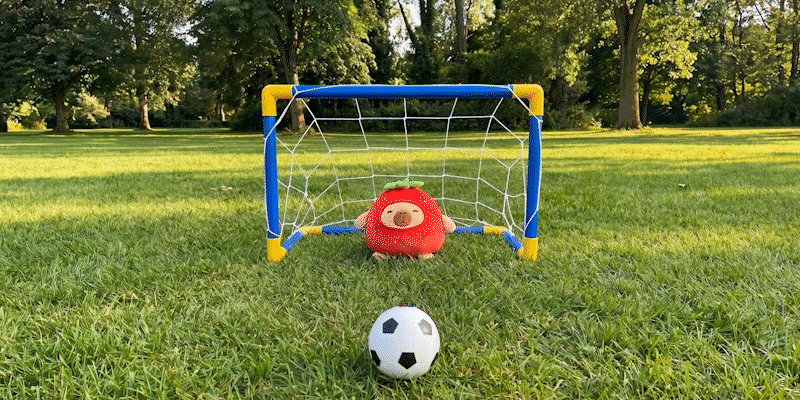 Football goal with ball