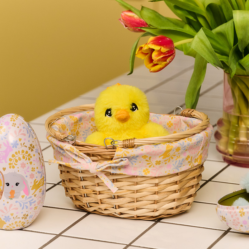Picnic basket with fabric lining