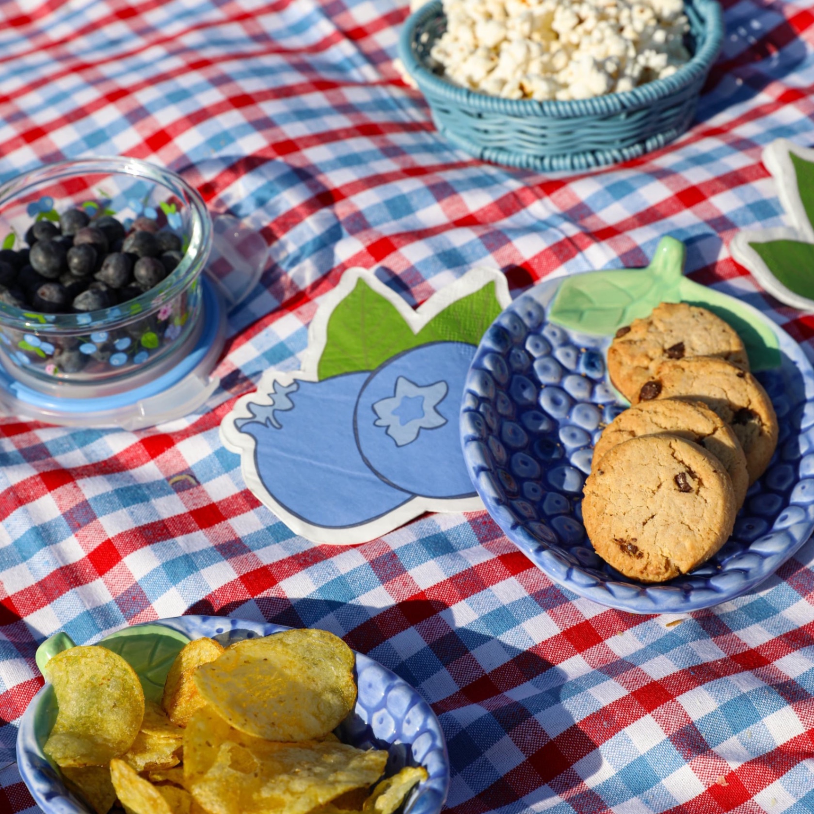 Blueberry ceramics and picnic essentials
