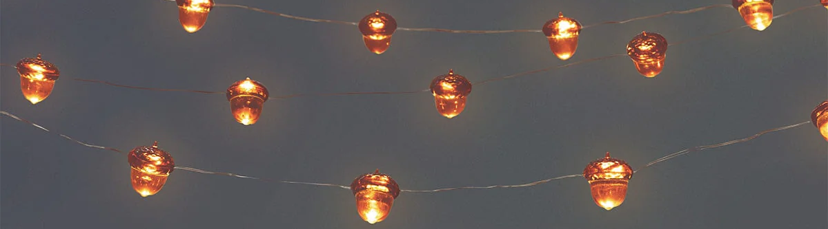 String lights - Acorns