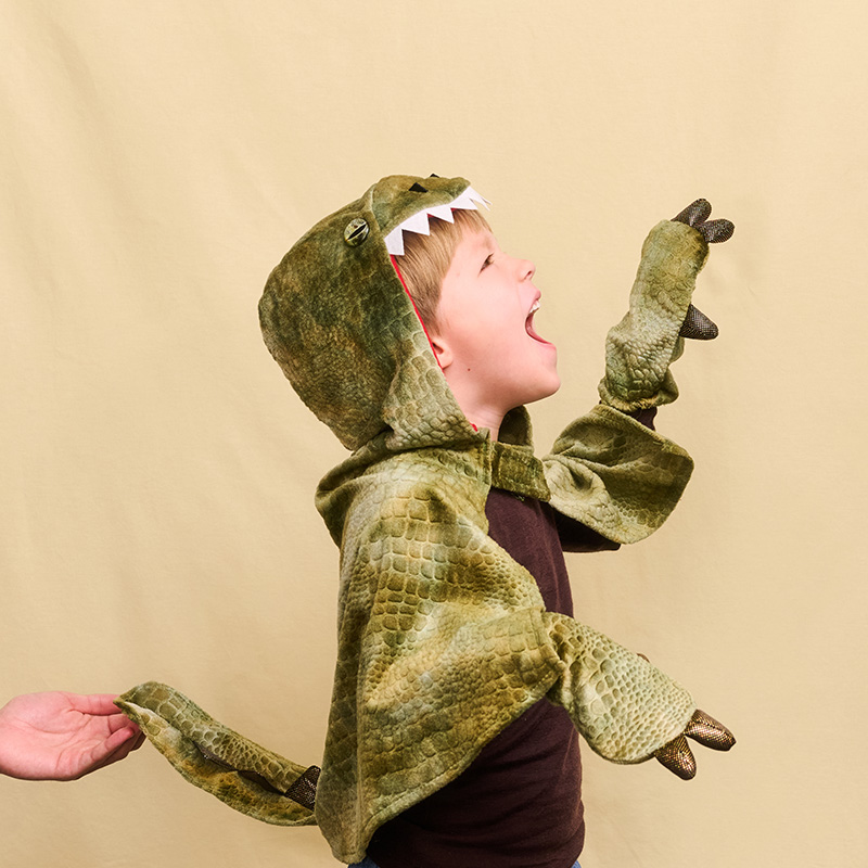 Dinosaur costume - 4 to 8 years