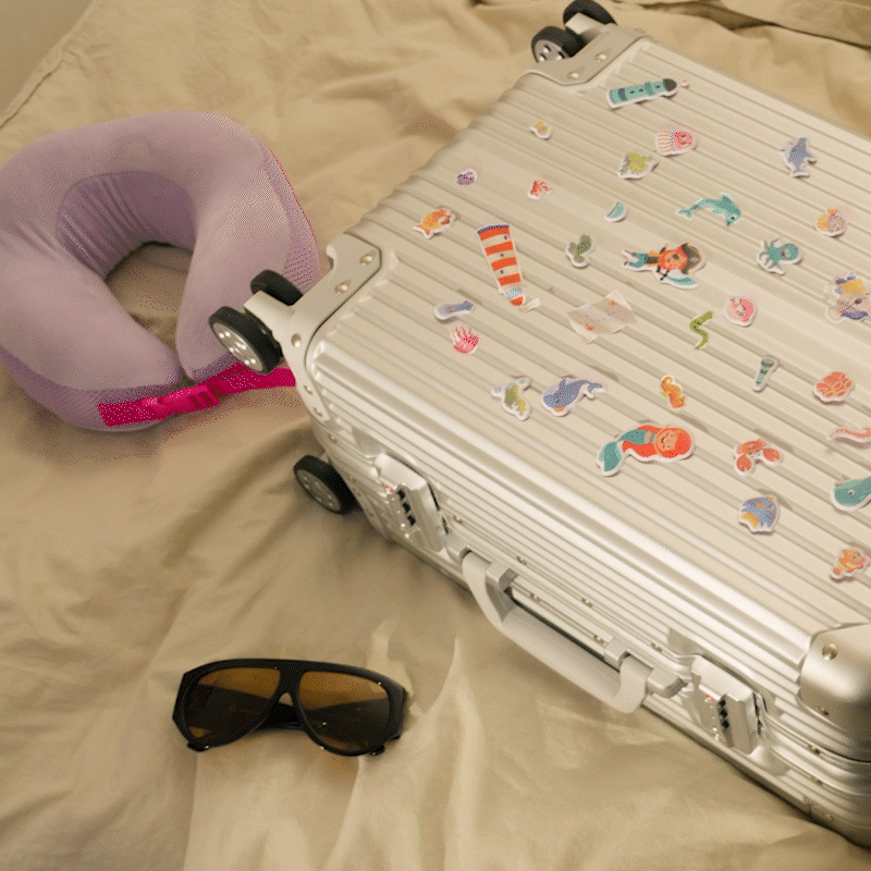 Travel accecories