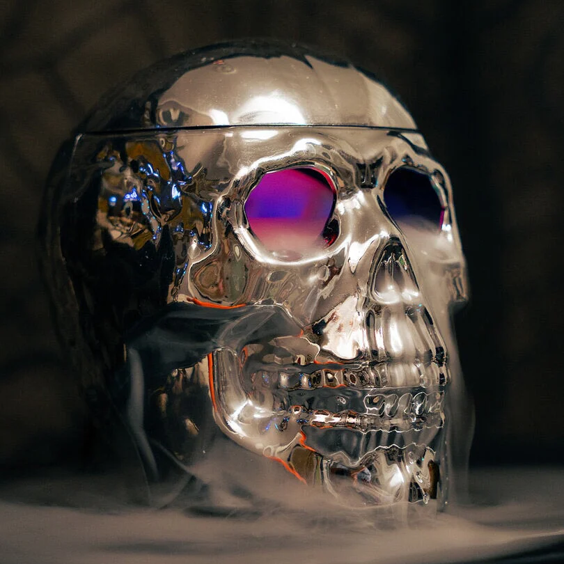 Skull fog machine with light
