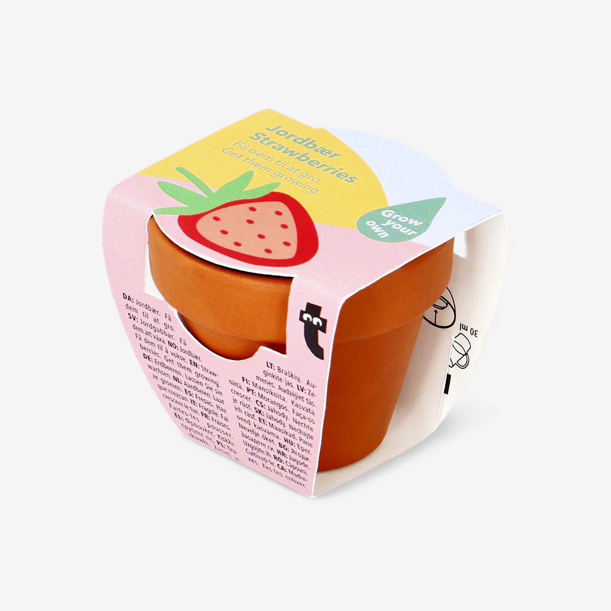 Grow kit - Strawberries