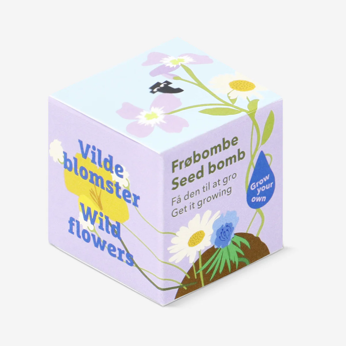 Seed bomb