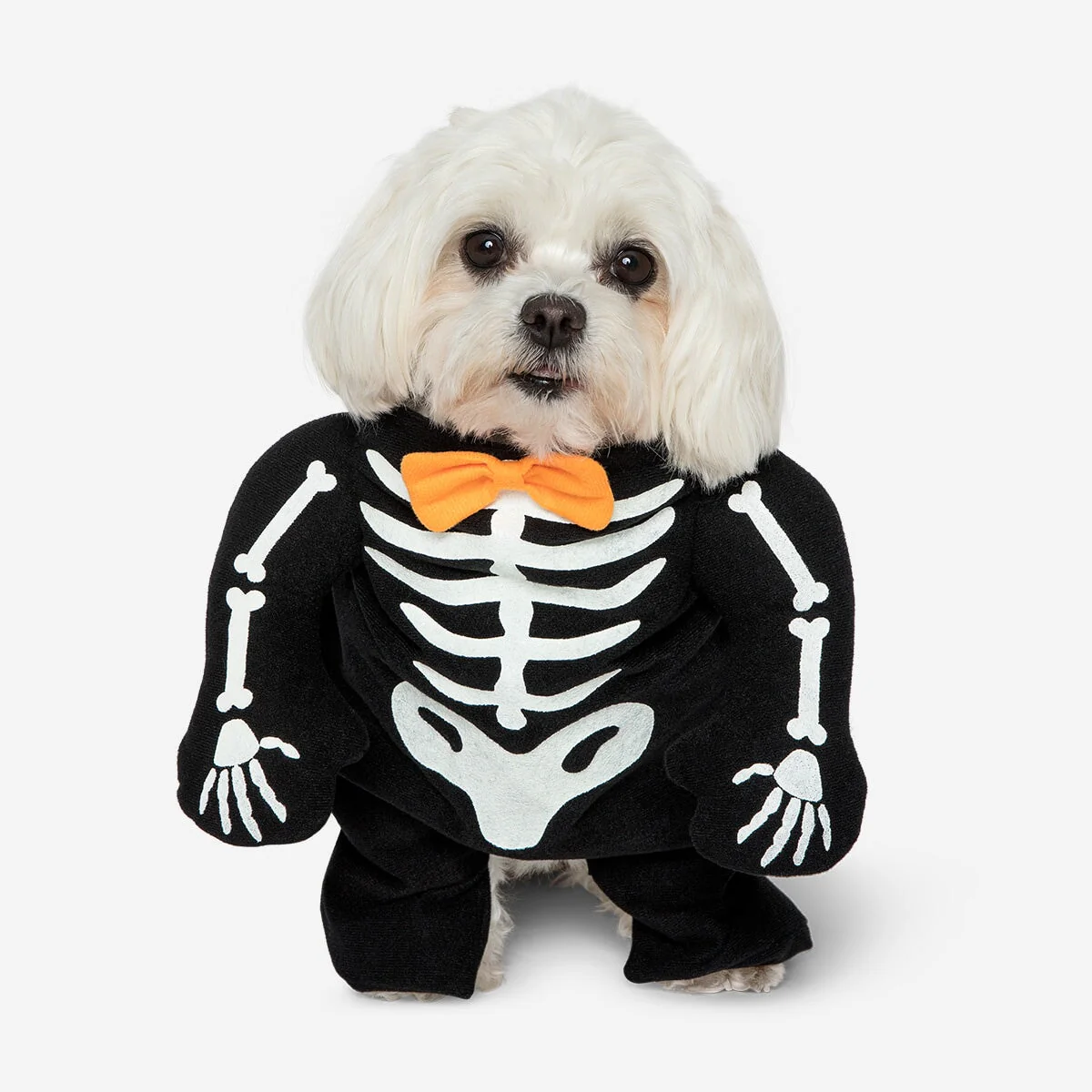 Halloween costumes
