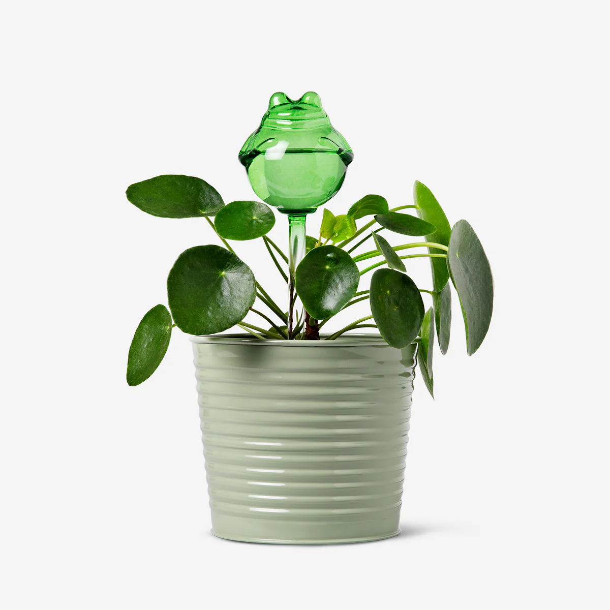 Frog self watering spike