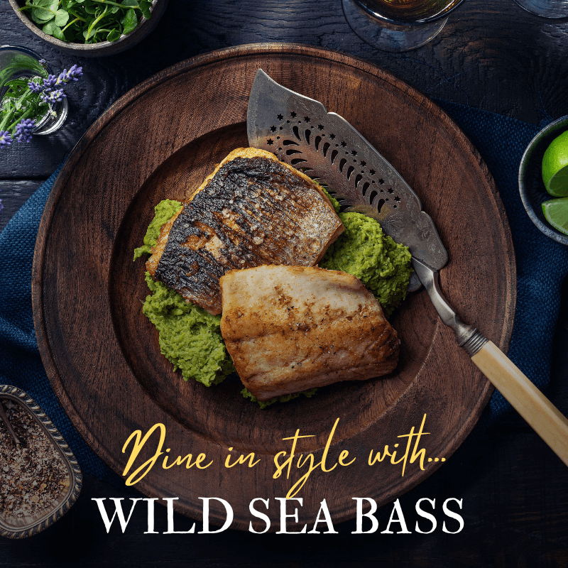🐟 Wild linecaught sea bass is back Fish for Thought