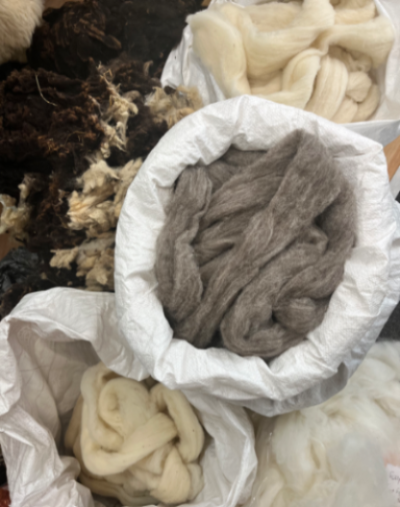 combed wool waiting to be spun in to thread