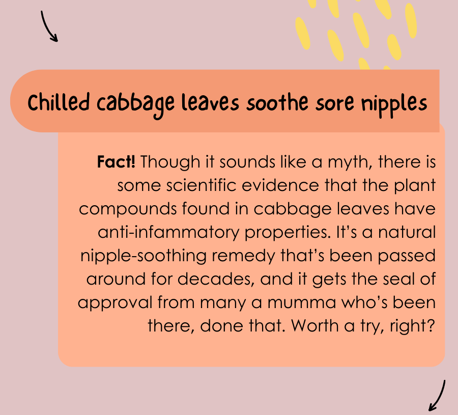 🥬Can cabbage leaves really soothe sore nipples? Juno Jacks