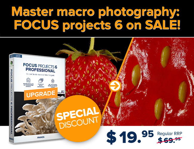 FOCUS projects 6 Professional