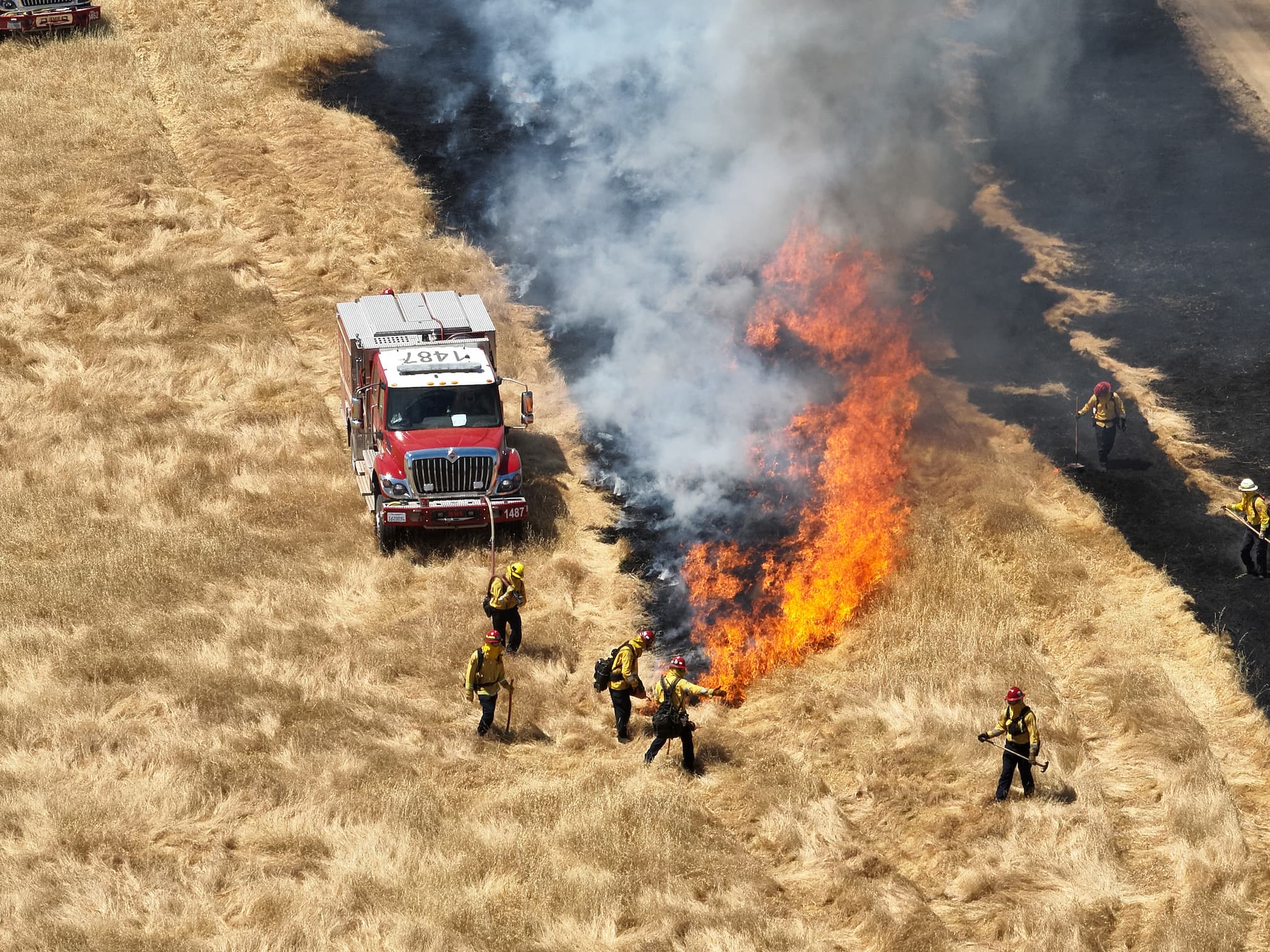 prescribed fire work