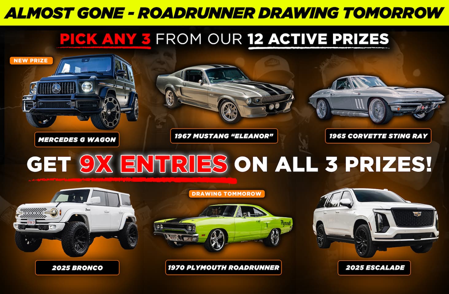 New Year Special Offer