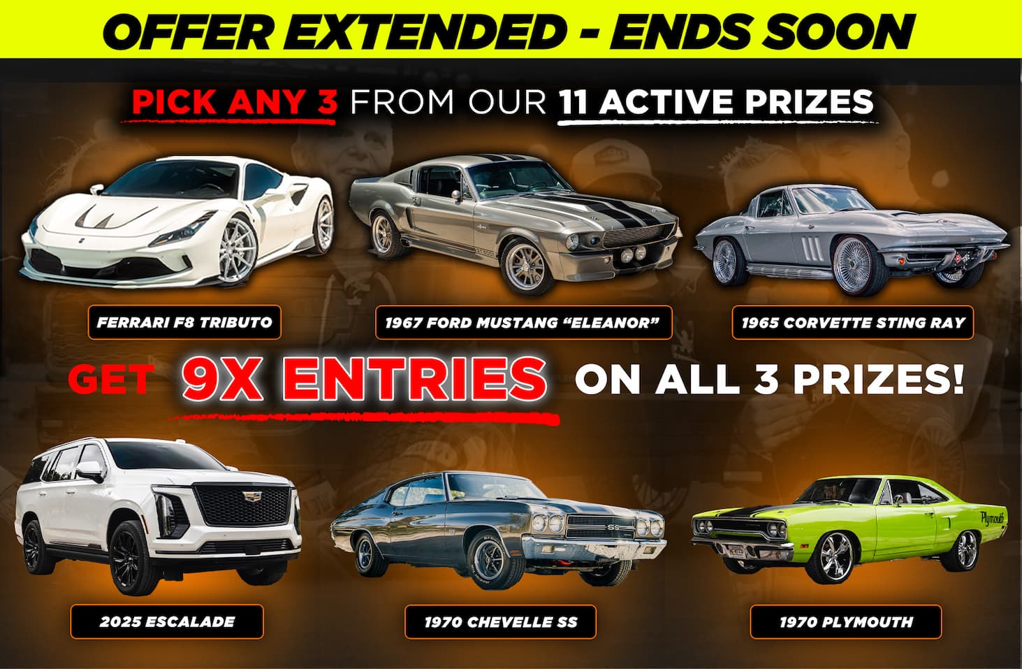 Christmas Special Offer