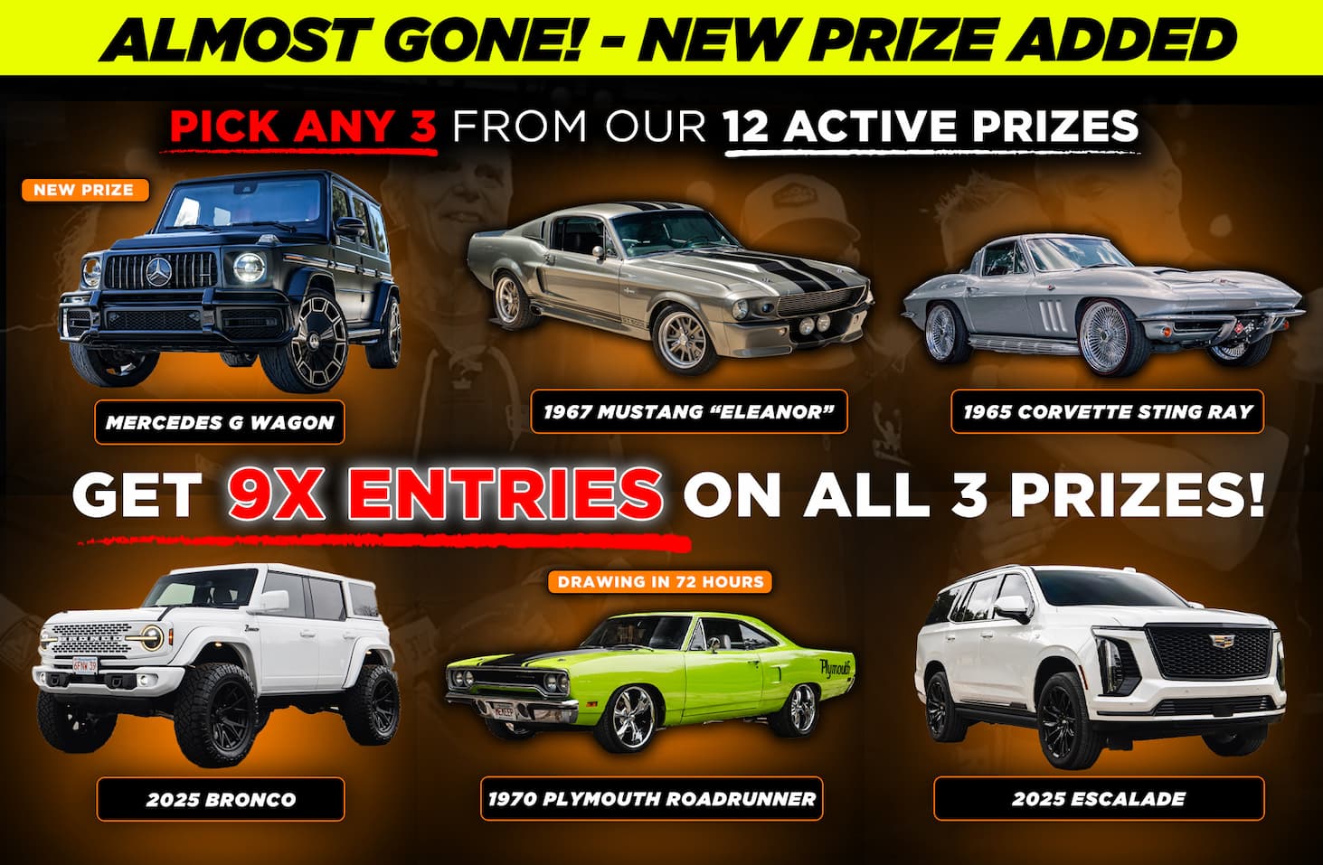 New Year Special Offer