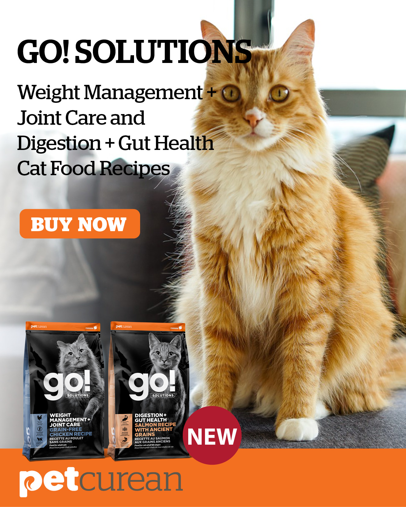 Here's What's New At Petland 📣 Petland Canada