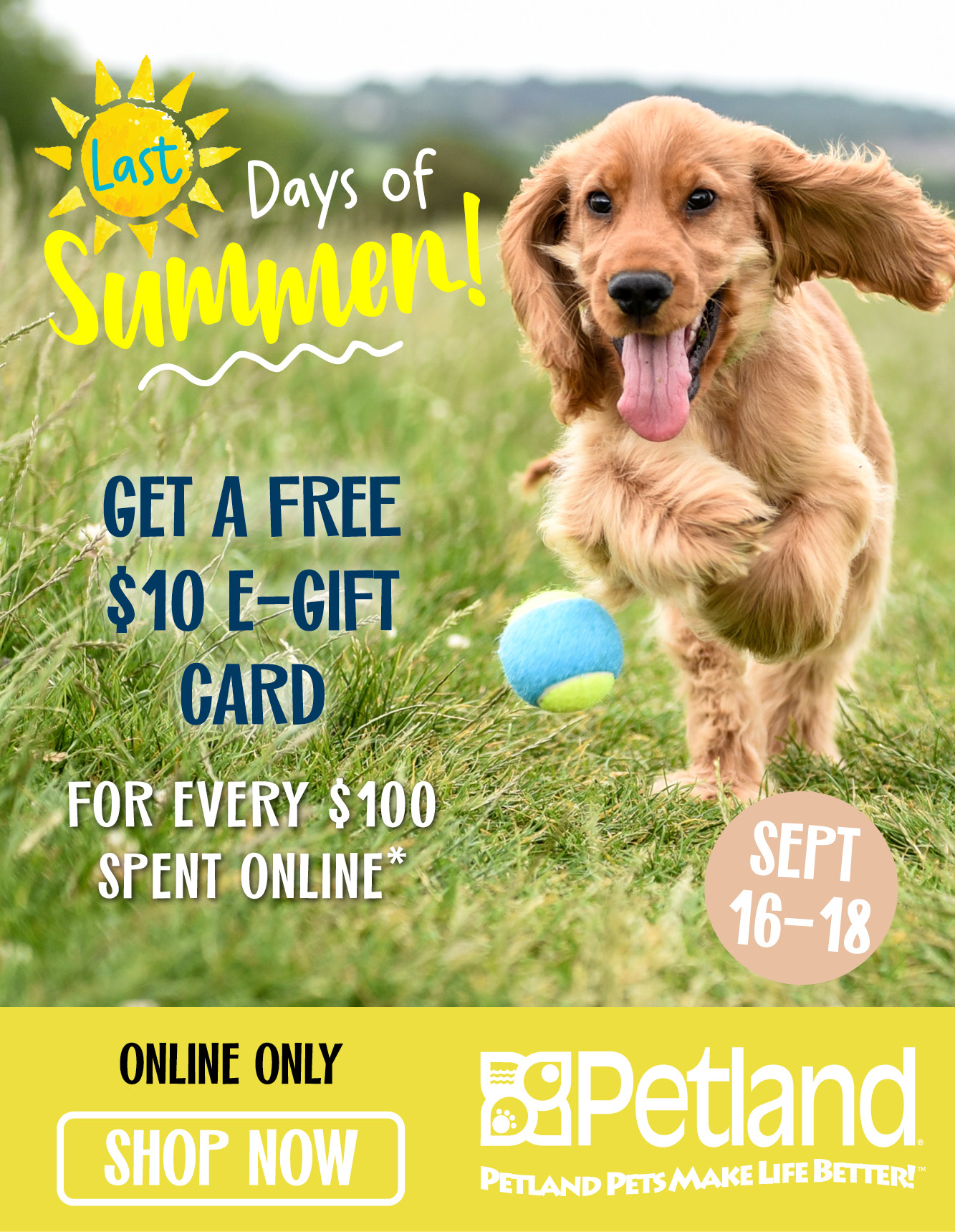 FREE 10 Petland EGift Card 😎 Petland Canada