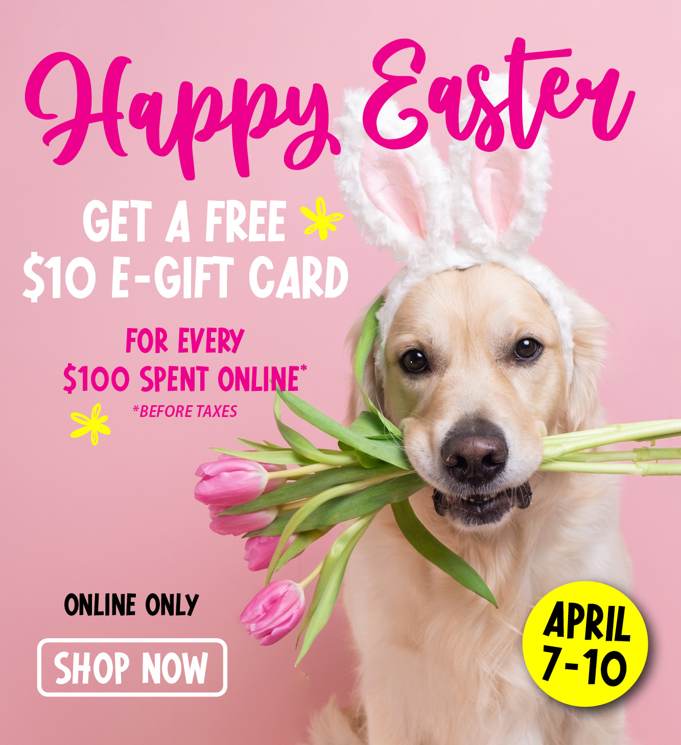 FREE 10 Petland Gift Card 🐰🌷 Petland Canada