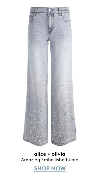 Amazing Embellished Jean Amazing Embellished Jean