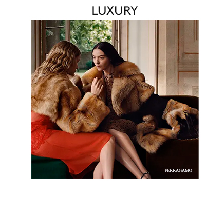 LUXURY 