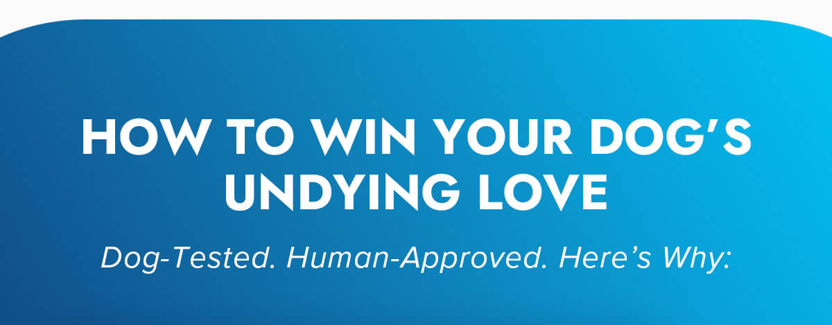 HOW TO WIN YOUR DOG'S UNDYING LOVE Dog-Tested. Human-Approved. Here's Why: