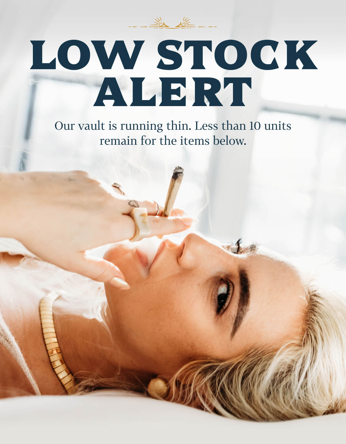 Low Stock Alert Our vault is running thin. Less than 10 units remain for the items below.