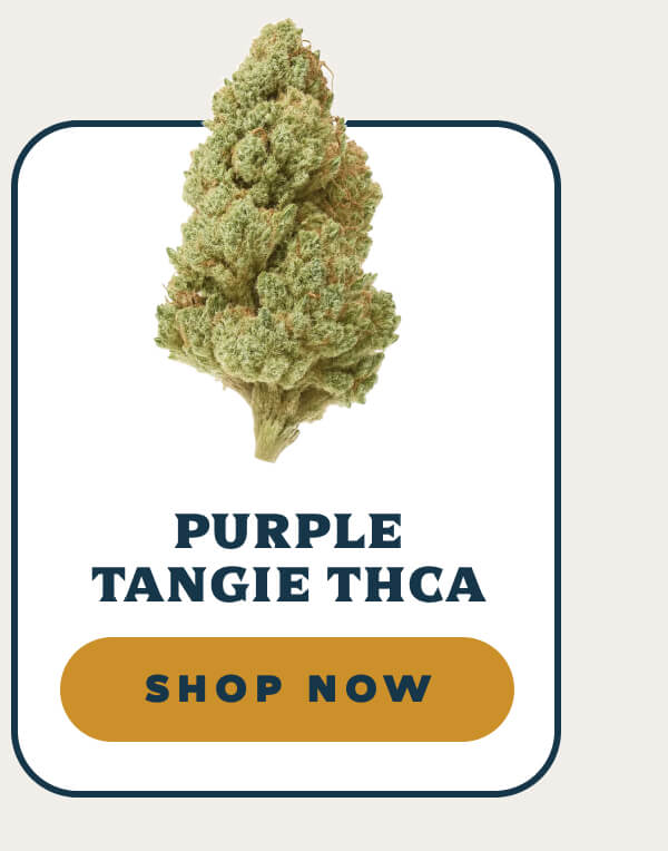 Purple Tangie THCA