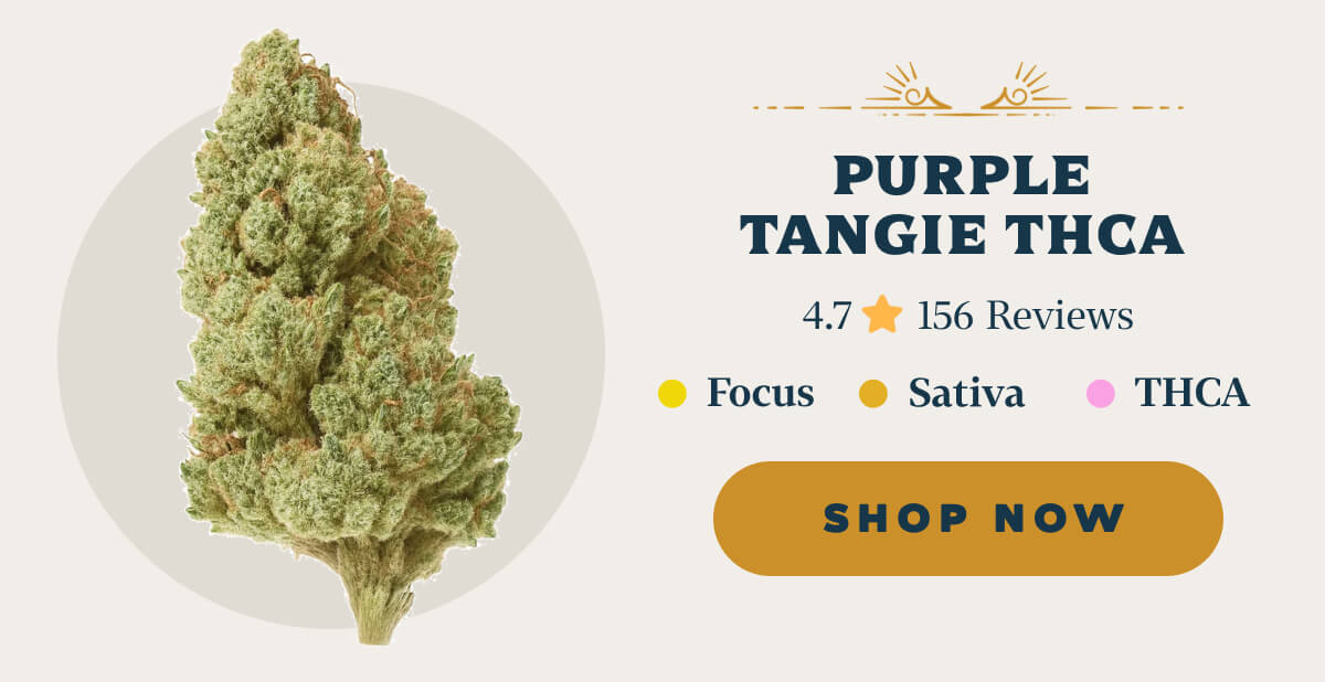 Purple Tangie THCA 4.7 ⭐️⭐️⭐️⭐️⭐️ 156 Reviews Focus | Sativa | THCA
