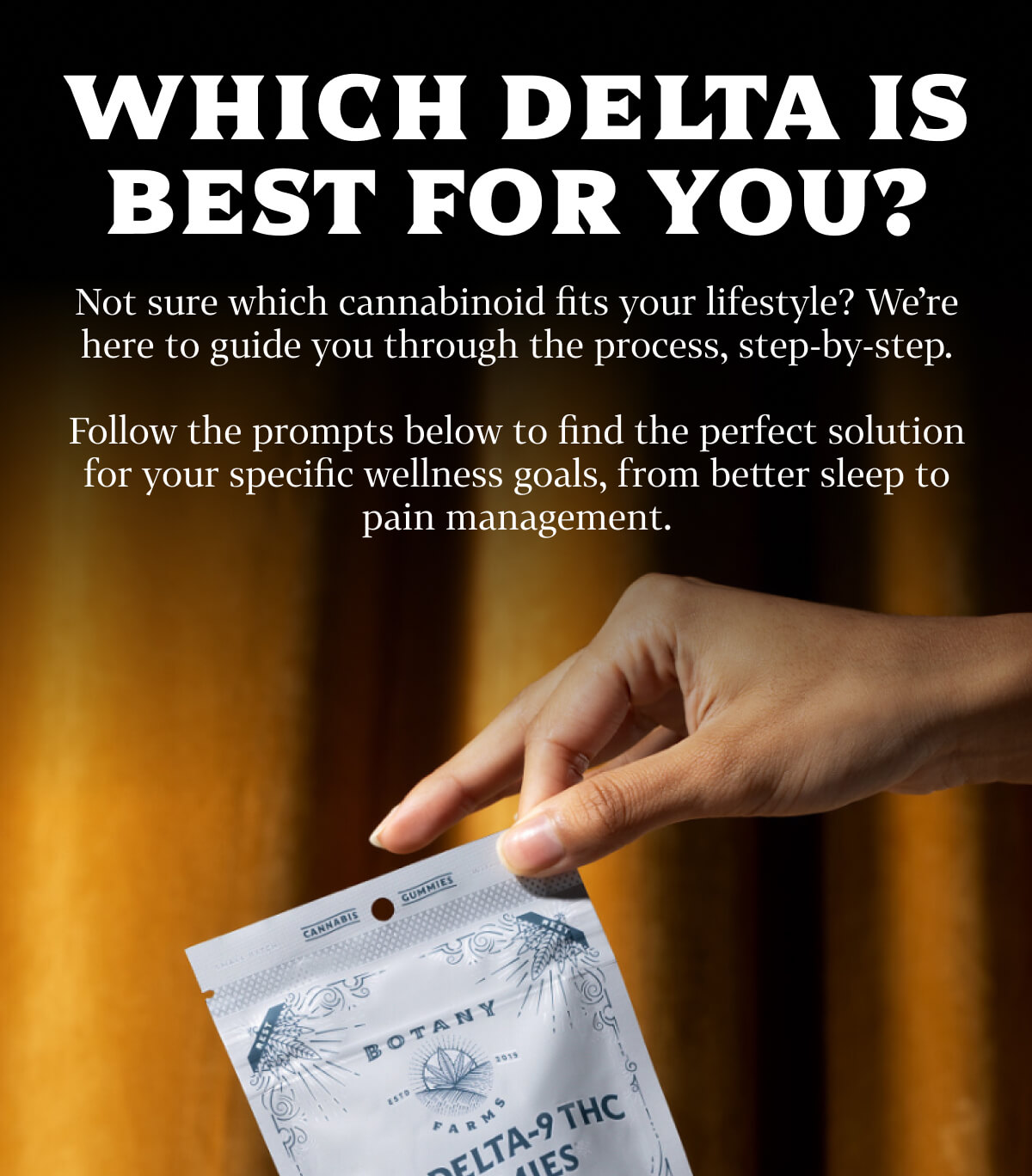 Which Delta is Best for You?  Not sure which cannabinoid fits your lifestyle? We're here to guide you through the process, step-by-step. Follow the prompts below to find the perfect solution for your specific wellness goals, from better sleep to pain management.