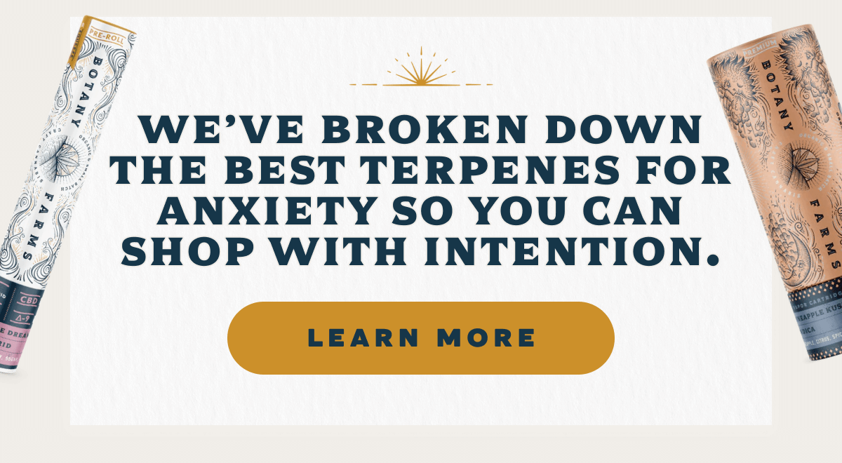 We've broken down the best terpenes for anxiety so you can shop with intention.