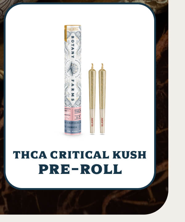THCA Critical Kush Pre-Roll